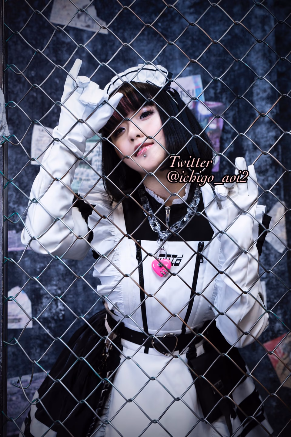 아오이 이치고 5