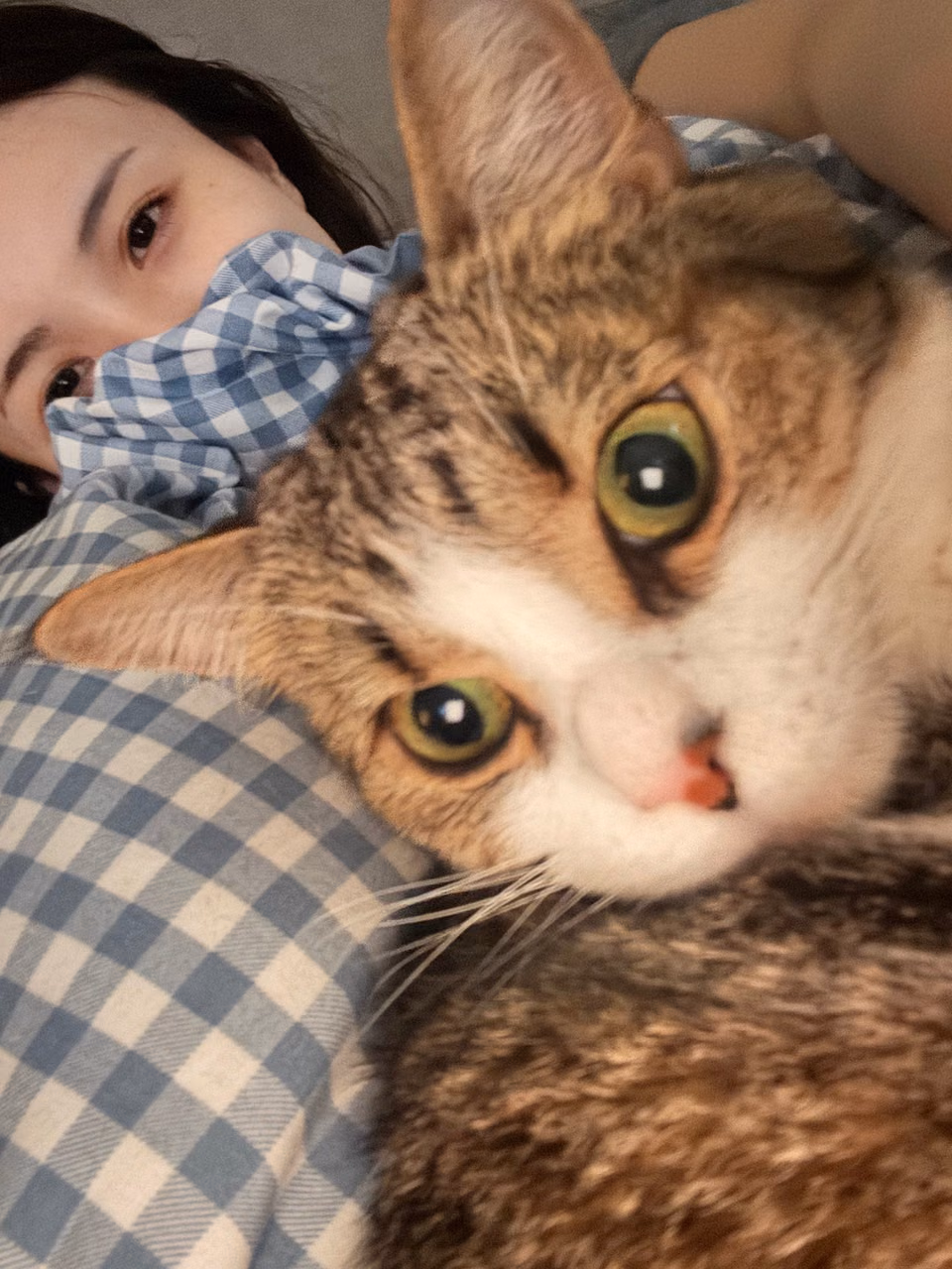 이즈미 모모카 27
