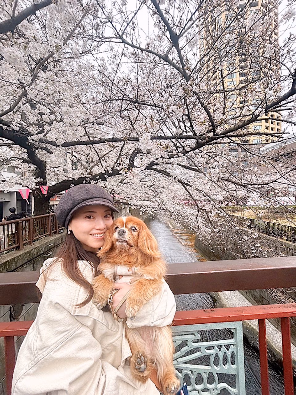 요시자와 아키호 46