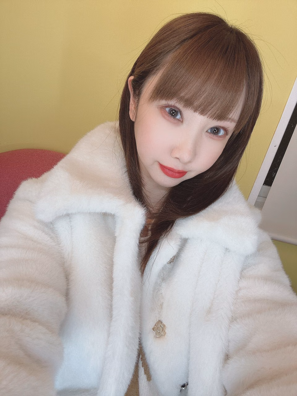 시아나 호노카 4