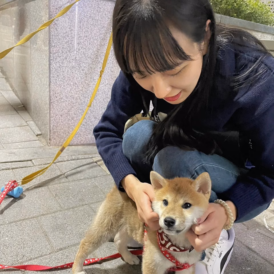 쿠스노키 하나 40
