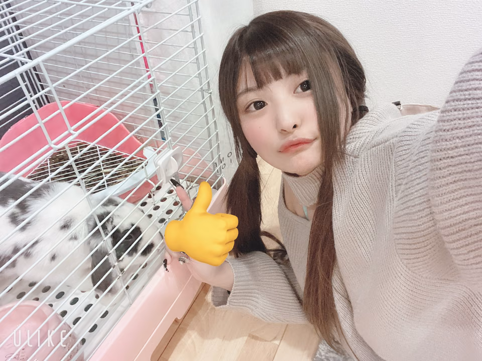 니토리 히나 3