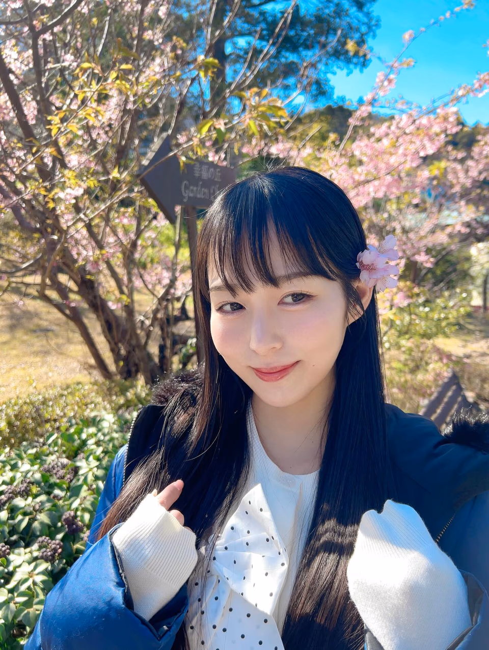 혼조 하나 10