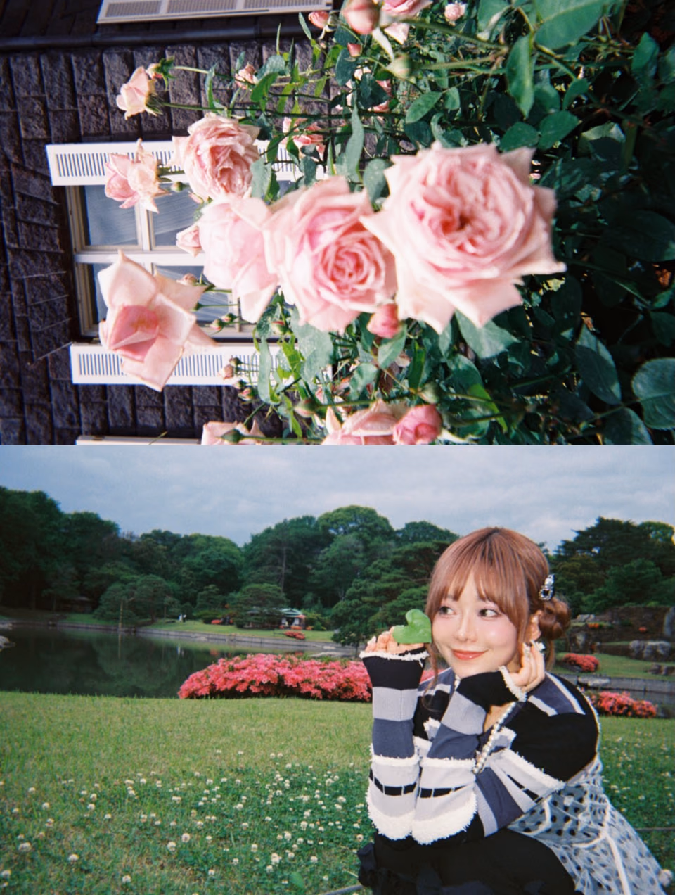 아리무라 노조미 12