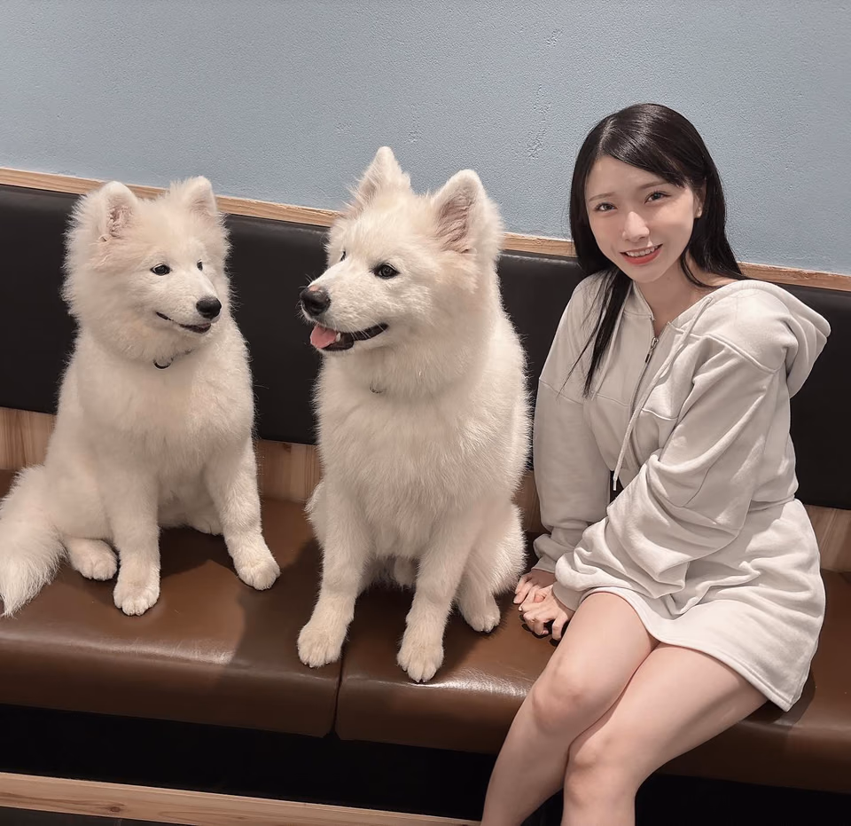 히카루 미야니시 9