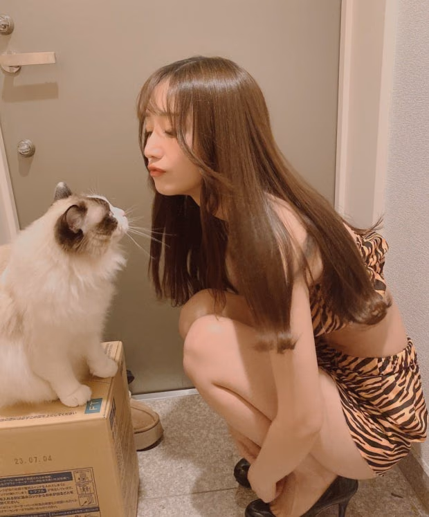 호시나 아이 2