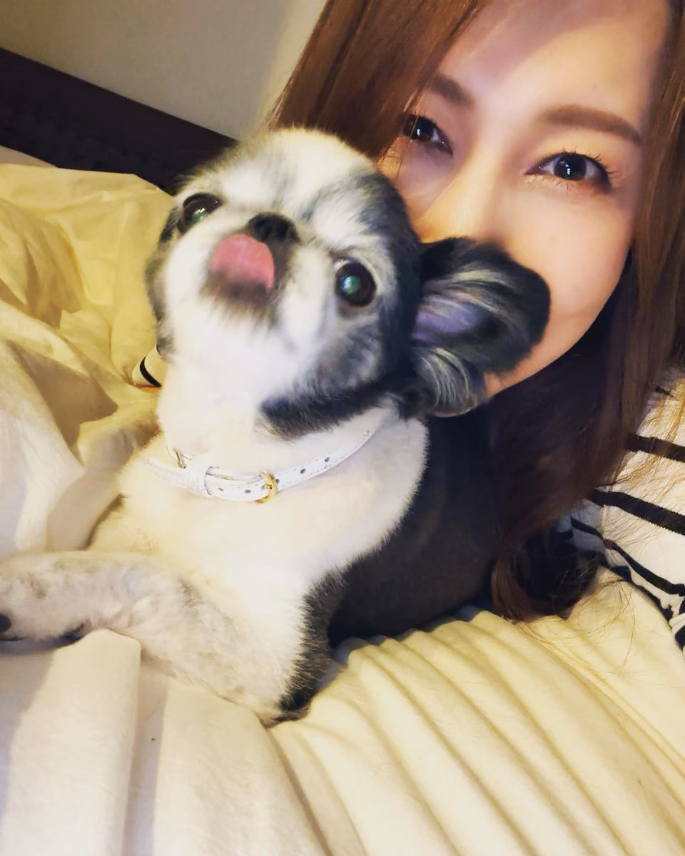 카자마 유미 29