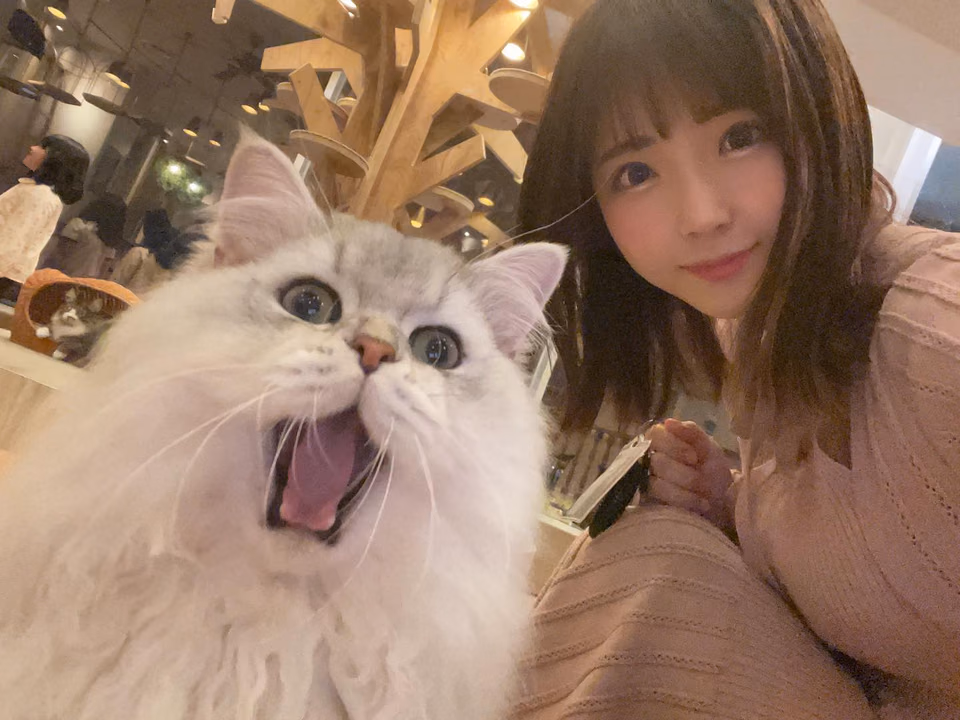 사쿠라 키즈나 39
