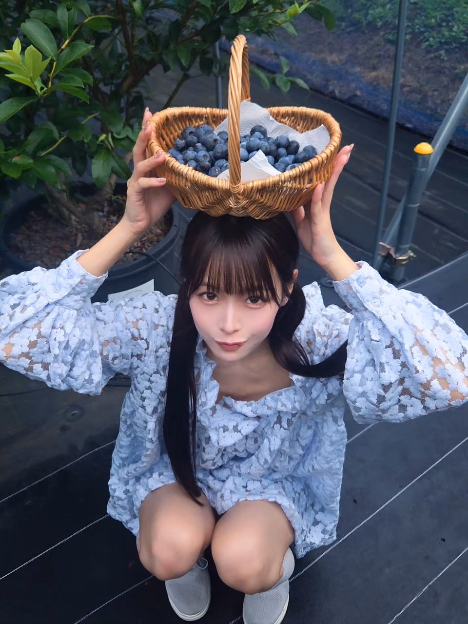 야기 나나 11