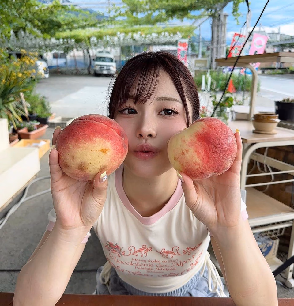 아리스 마이 14