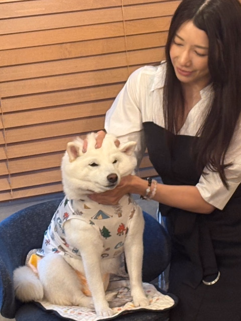 加藤あやの 21