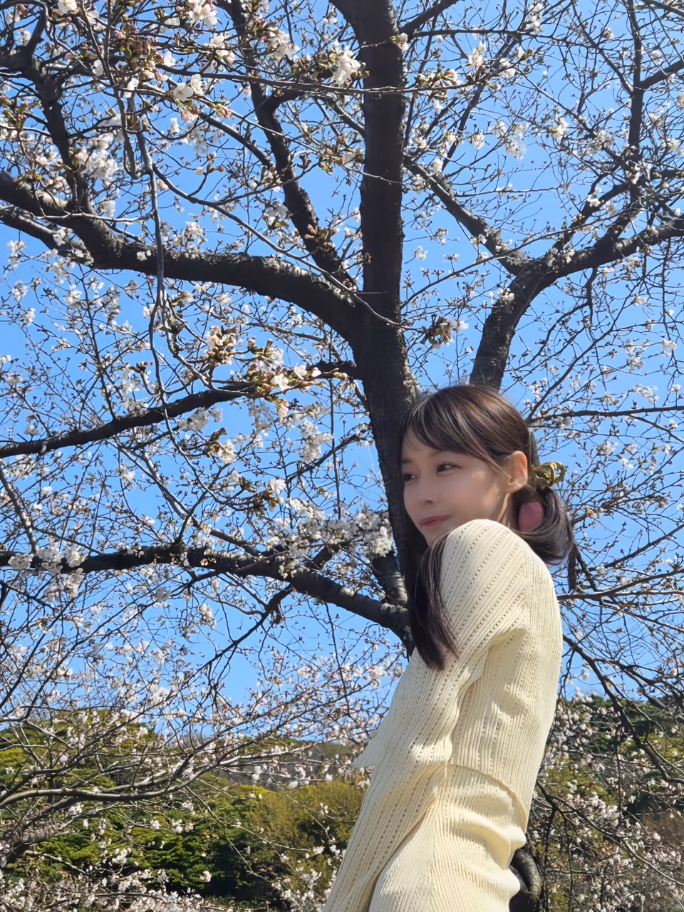 야기 나나 20