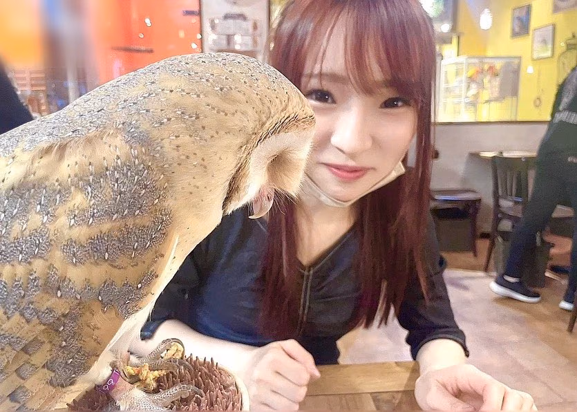 카고 리나 46