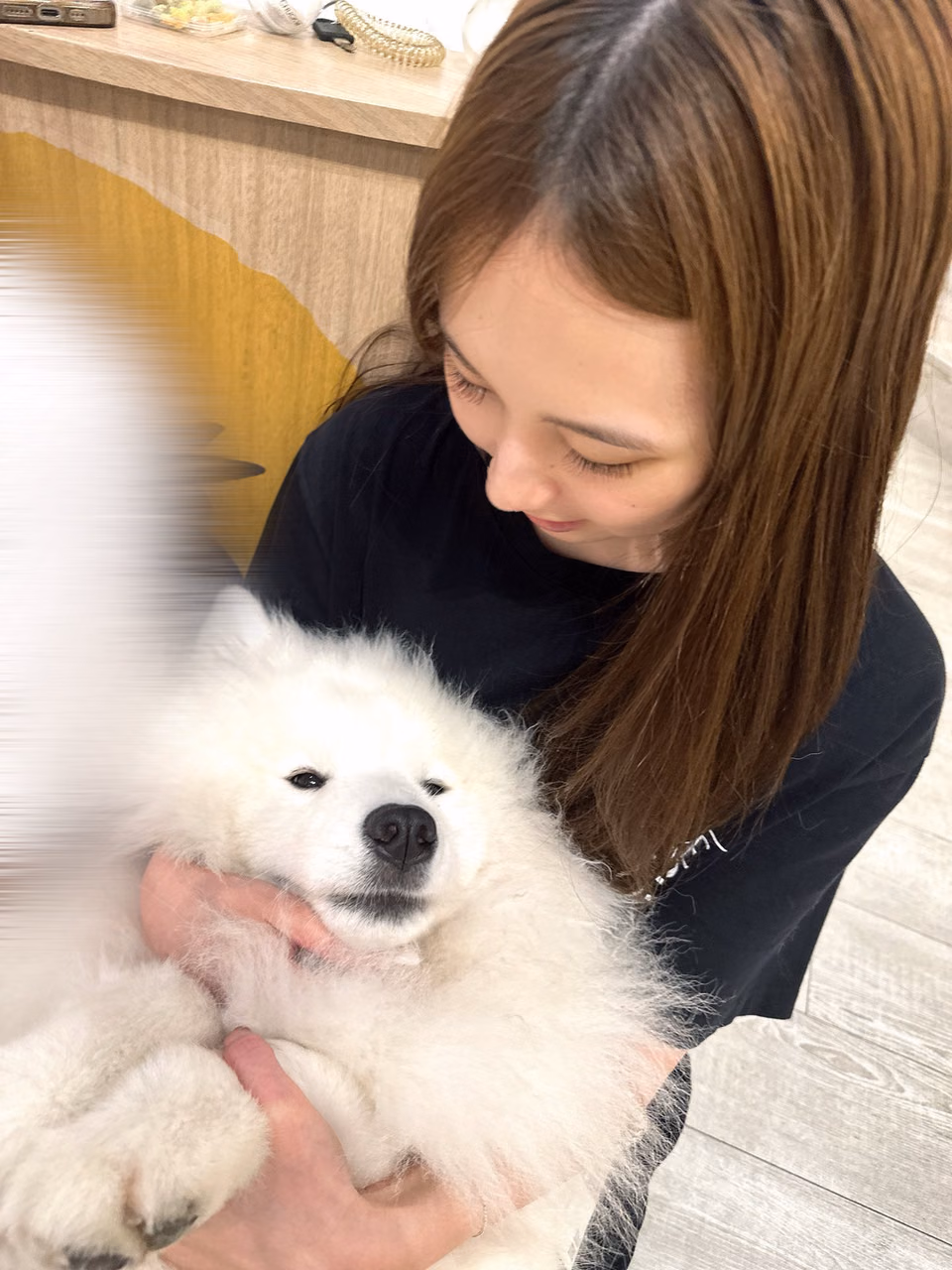이토요 미루 6